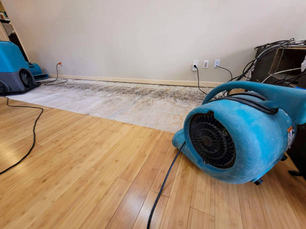 Professional Basement Flood Cleanup technician working in White Salmon, WA